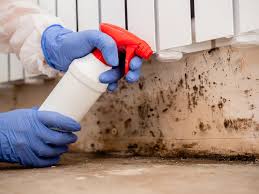 Best Comprehensive Air Testing for Mold Contaminants  in Conyers, GA